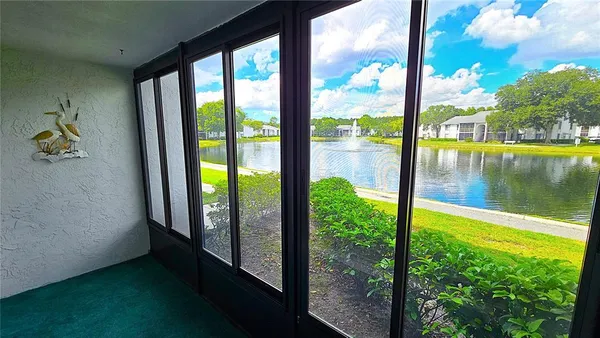 a view of swimming pool from a window