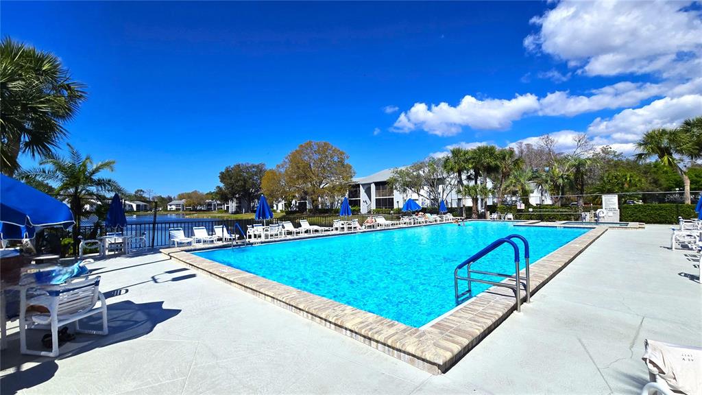 1109 Pine Ridge Circle West, Unit C1 Tarpon Springs, FL 34688 - Photo 33 of 50 a view of a swimming pool and lounge chairs