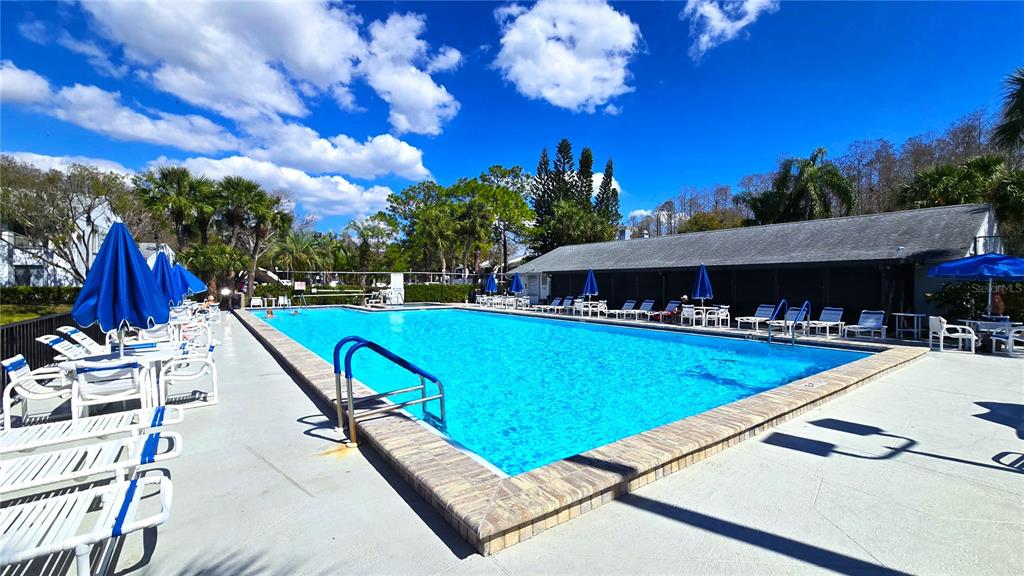 1109 Pine Ridge Circle West, Unit C1 Tarpon Springs, FL 34688 - Photo 36 of 50 a view of a patio with swimming pool