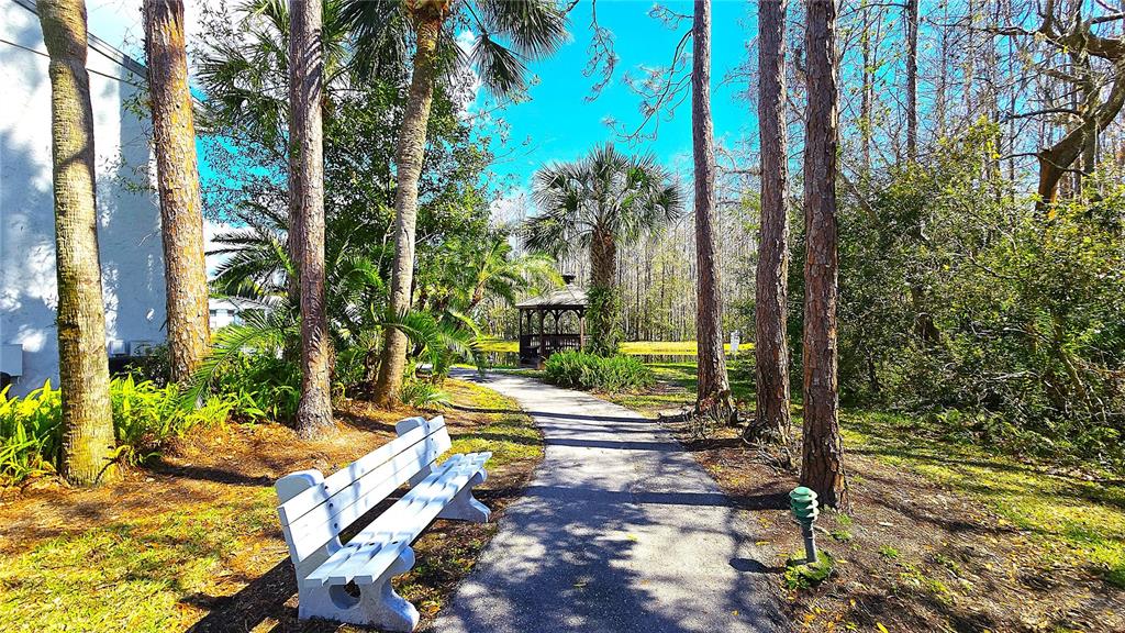 1109 Pine Ridge Circle West, Unit C1 Tarpon Springs, FL 34688 - Photo 38 of 50 a view of yard