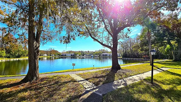 a view of a lake with a large trees