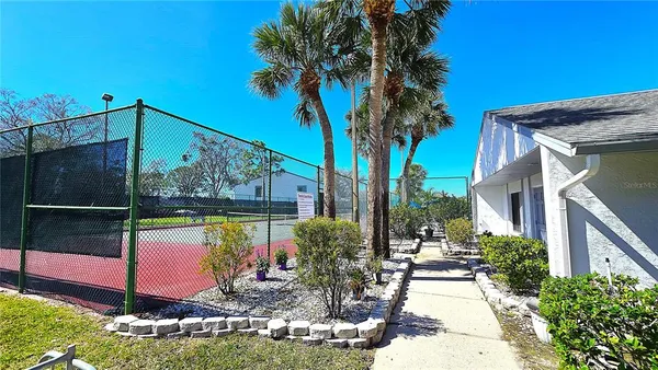 a view of a backyard