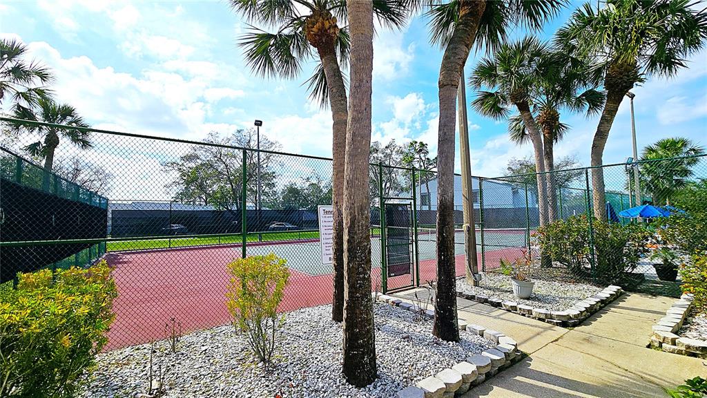 1109 Pine Ridge Circle West, Unit C1 Tarpon Springs, FL 34688 - Photo 44 of 50 a view of a swimming pool with a patio