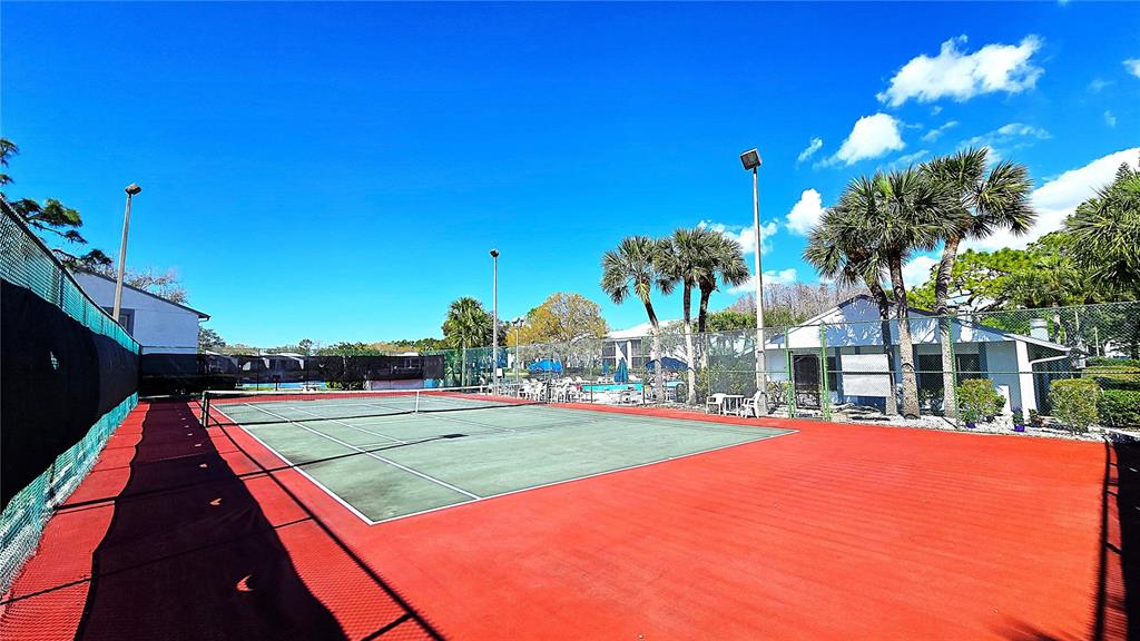 1109 Pine Ridge Circle West, Unit C1 Tarpon Springs, FL 34688 - Photo 45 of 50 a swimming pool with yard in front of it