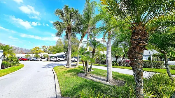 a view of a park with large trees