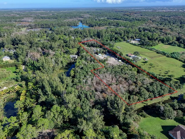 an aerial view of forest