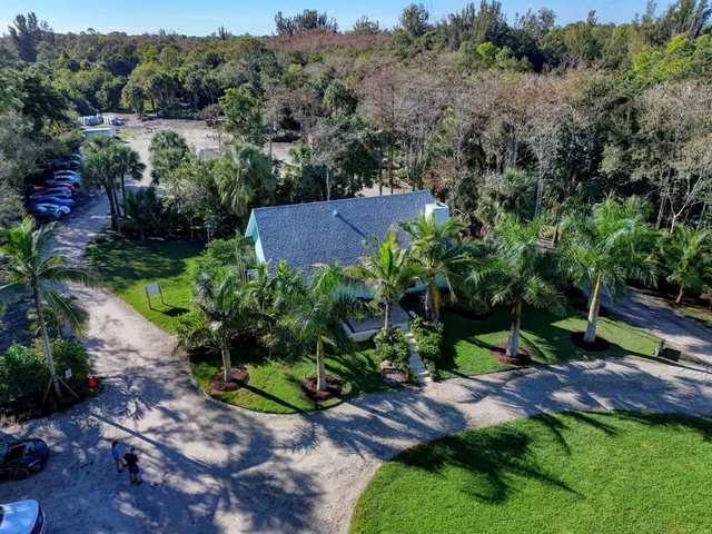 a view of a garden with plants and large trees