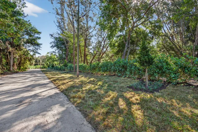a view of yard with tree