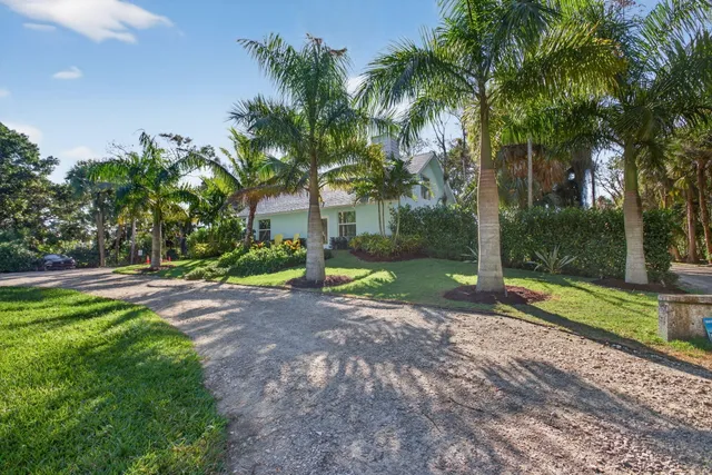 a view of a yard with palm trees