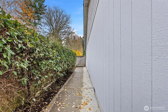 a view of a pathway in a yard