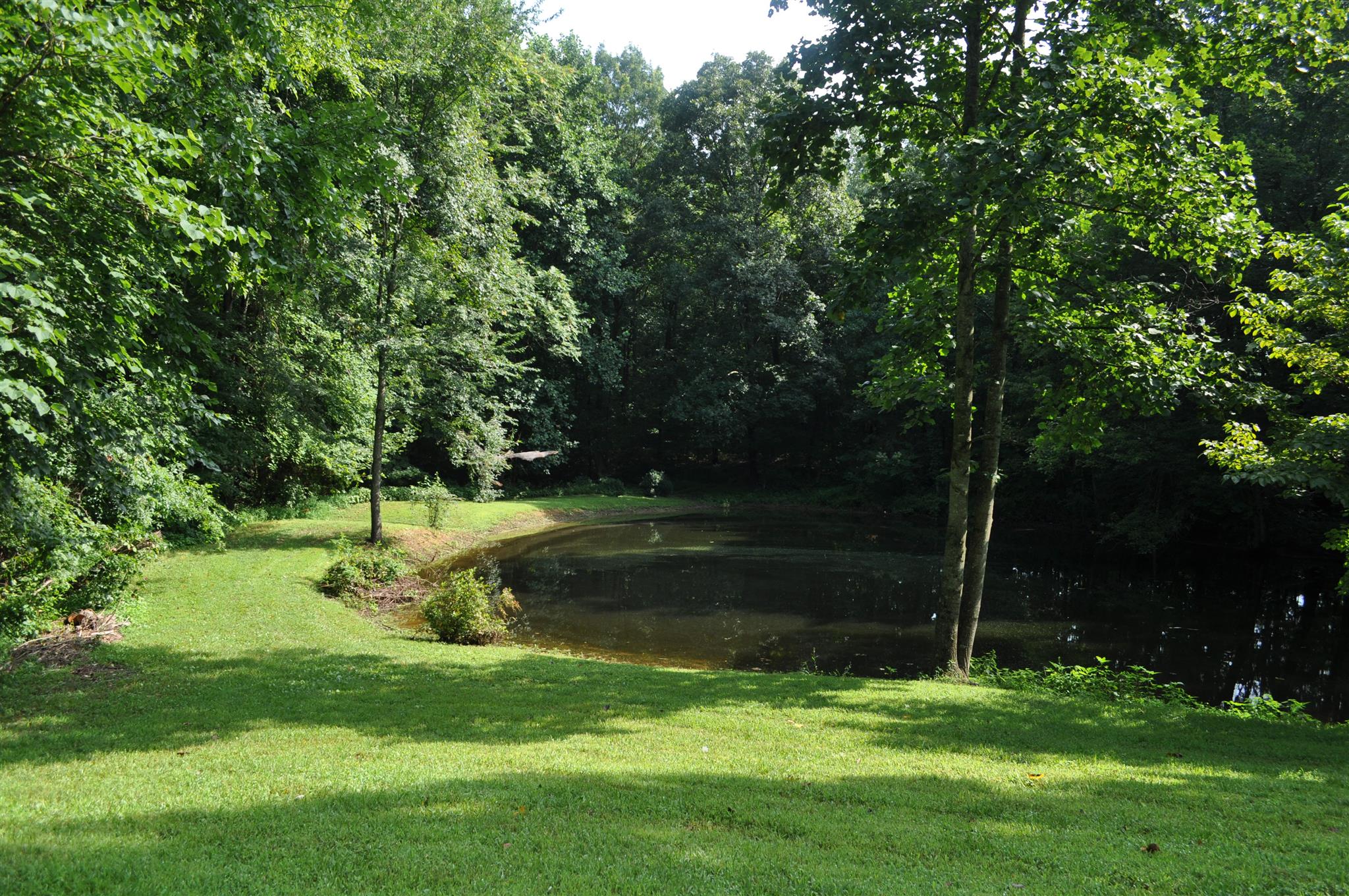 358 Hollis Chapel Road Portland, TN 37148 - Photo 4 of 30 a garden view