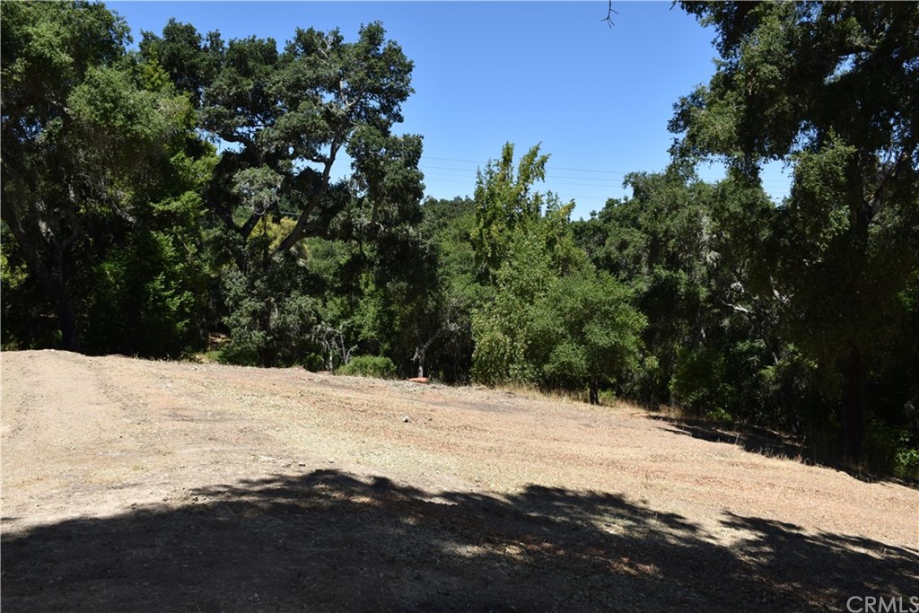 13300 Santa Ana Road Atascadero, CA 93422 - Photo 1 of 1 a view of side of snow with mountain view
