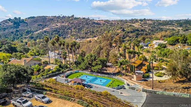 a view of a backyard with a tree