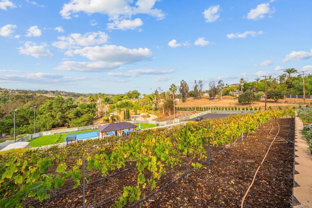 1569 Vía Monserate Fallbrook, CA 92028 - Photo 54 of 75 a view of an ocean with a city view