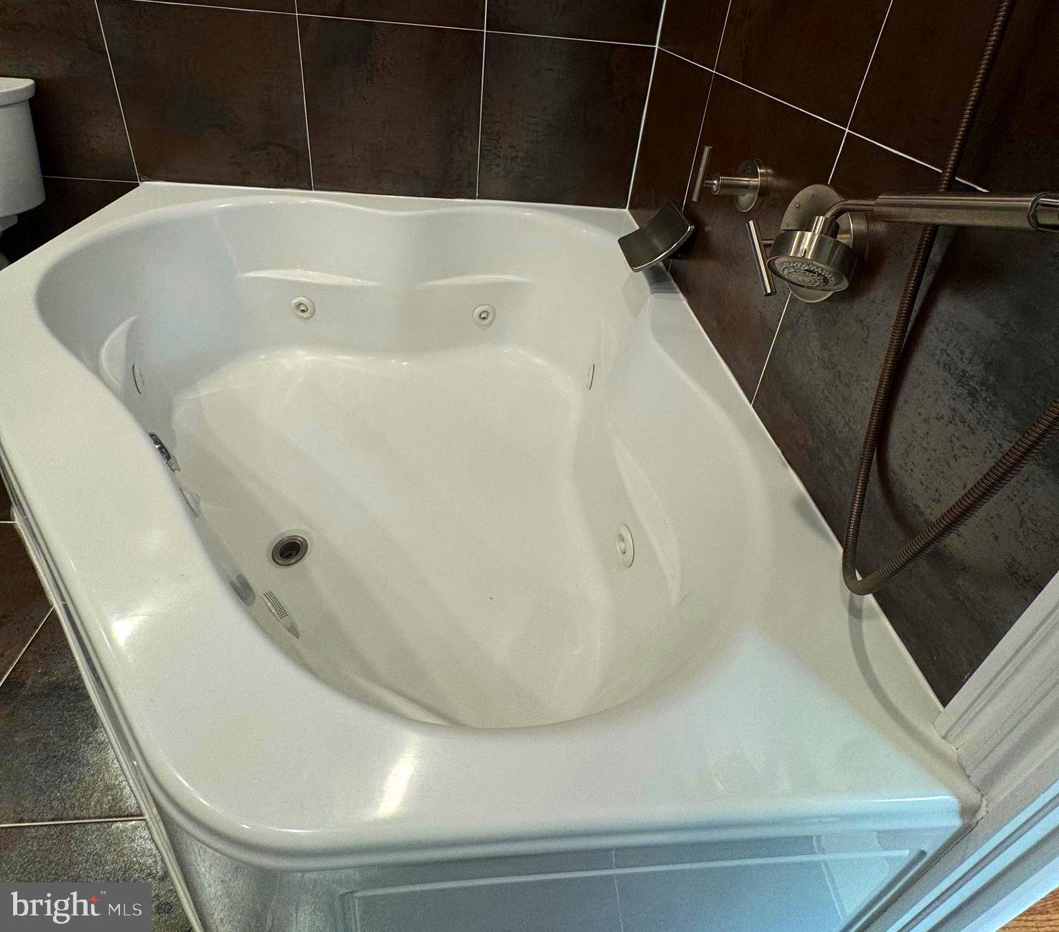 161 Pleasant Valley Road Titusville, NJ 08560 - Photo 22 of 63 Luxury Tub