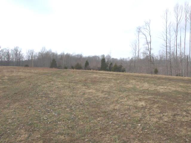 21 52 Riley Creek Road Whitleyville, TN 38588 - Photo 11 of 19 Gallery Image 11