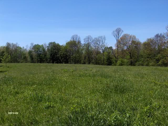 21 52 Riley Creek Road Whitleyville, TN 38588 - Photo 3 of 19 Gallery Image 3