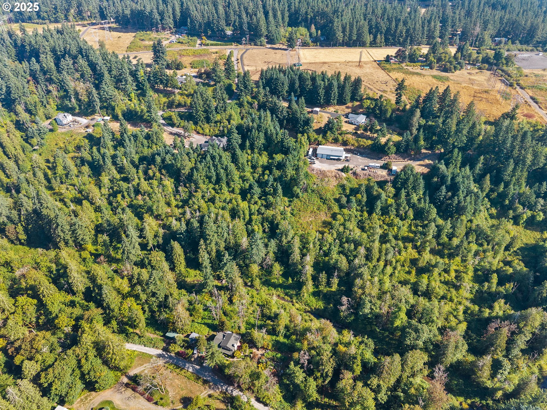 17280 South North End Road Oregon City, OR 97045 - Photo 11 of 14 a view of a yard with plants and wooden fence
