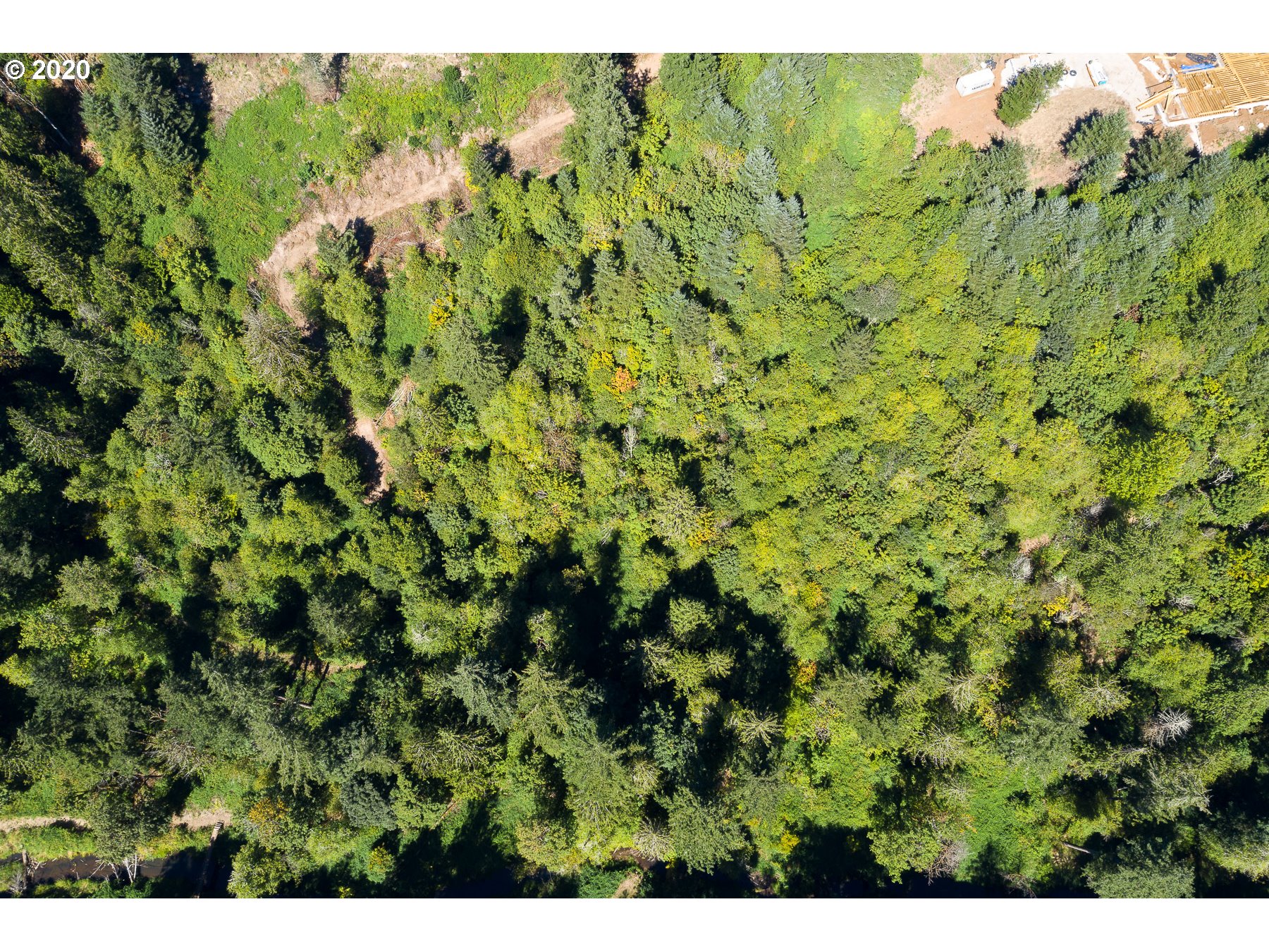 17280 South North End Road Oregon City, OR 97045 - Photo 2 of 14 a view of a forest