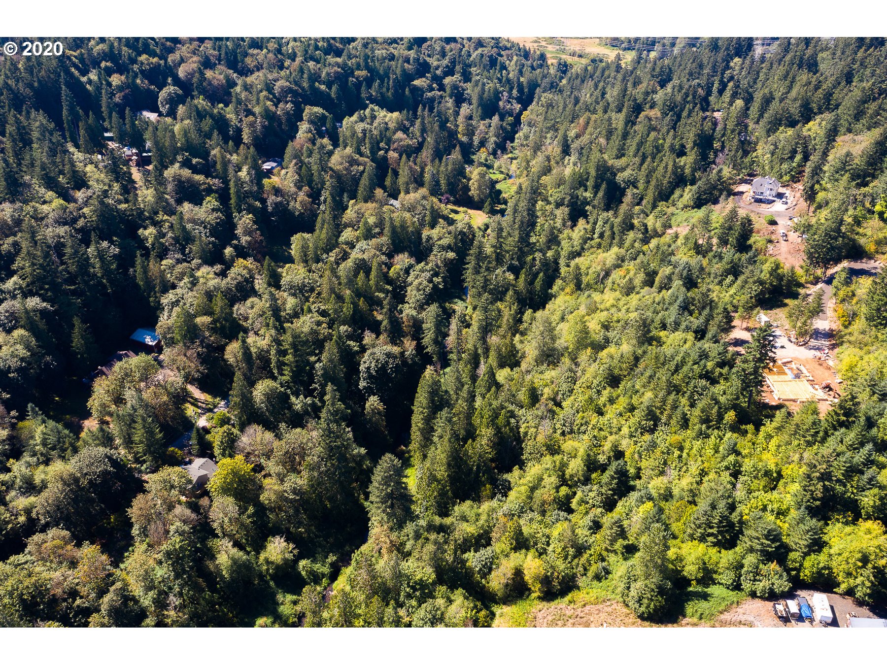 17280 South North End Road Oregon City, OR 97045 - Photo 3 of 14 a view of a bunch of trees