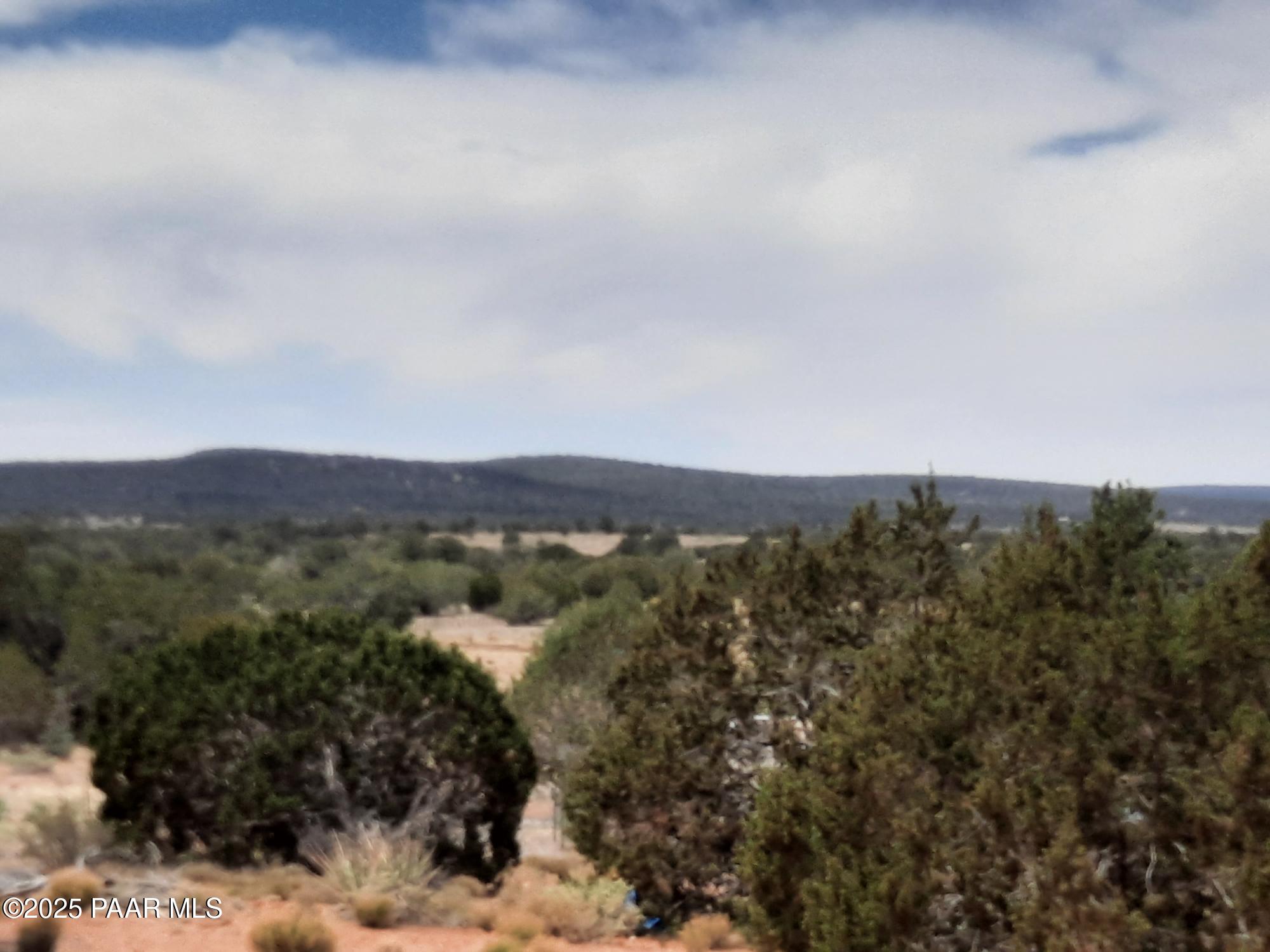 61333 Rough Rock Road Seligman, AZ 86337 - Photo 21 of 34 20250529_113715