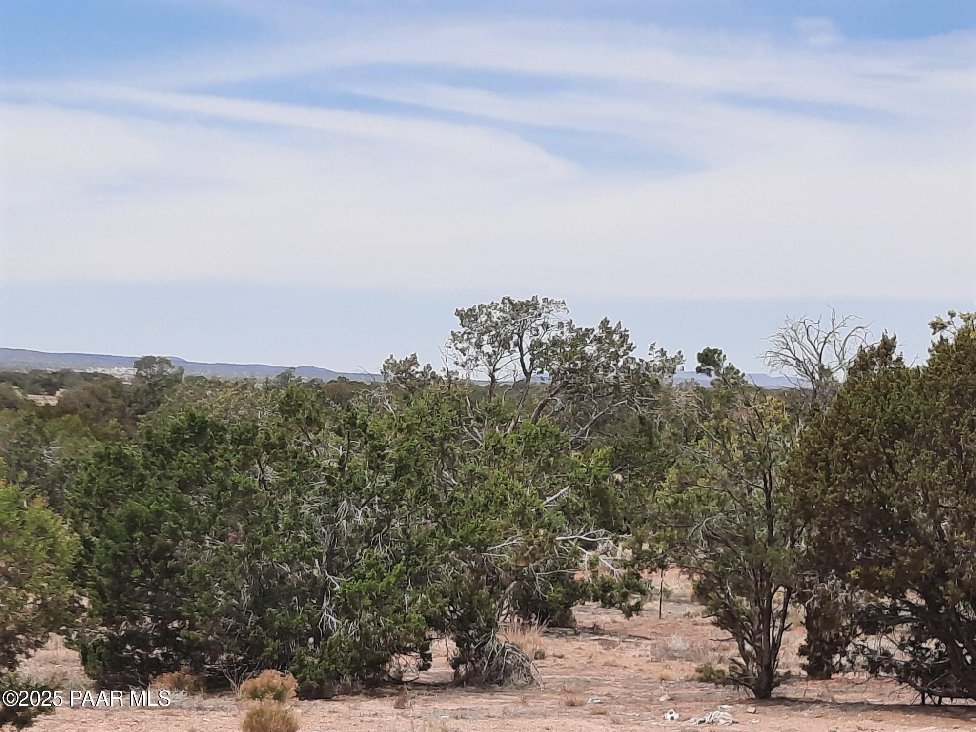 61333 Rough Rock Road Seligman, AZ 86337 - Photo 23 of 34 20250529_113724