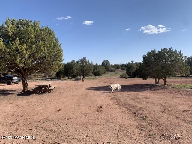 61333 Rough Rock Road Seligman, AZ 86337 - Photo 24 of 34 Rough Rock