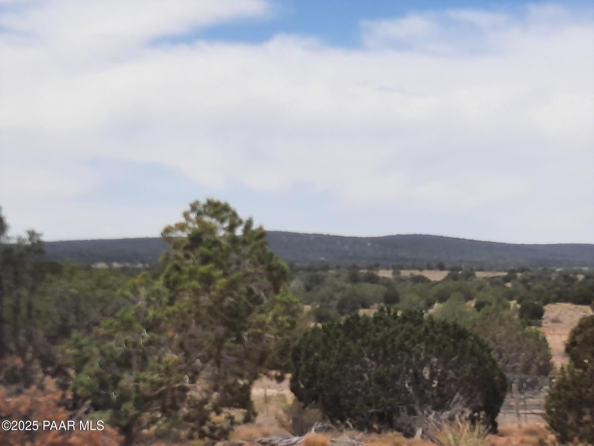 61333 Rough Rock Road Seligman, AZ 86337 - Photo 25 of 34 20250529_113814