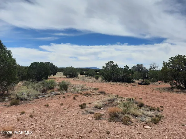 a view of a dry yard