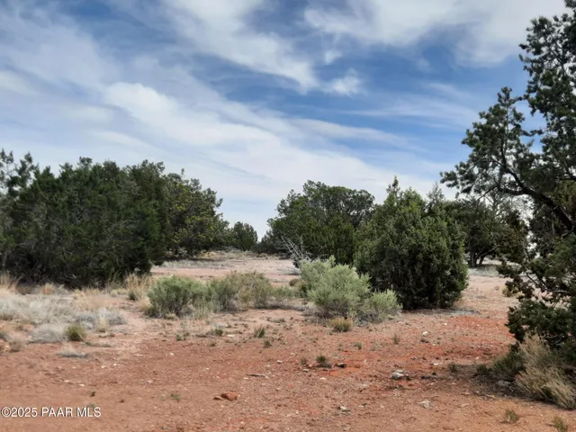 a view of a dry yard with trees in the background