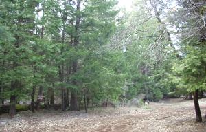 Mt Haven Road Shingletown, CA 96088 - Photo 1 of 1 Listing Photo