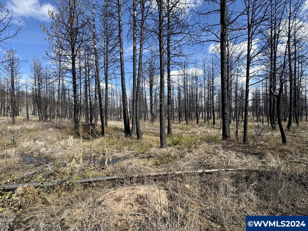 800 Nf 4464 Road Chiloquin, OR 97624 - Photo 10 of 25