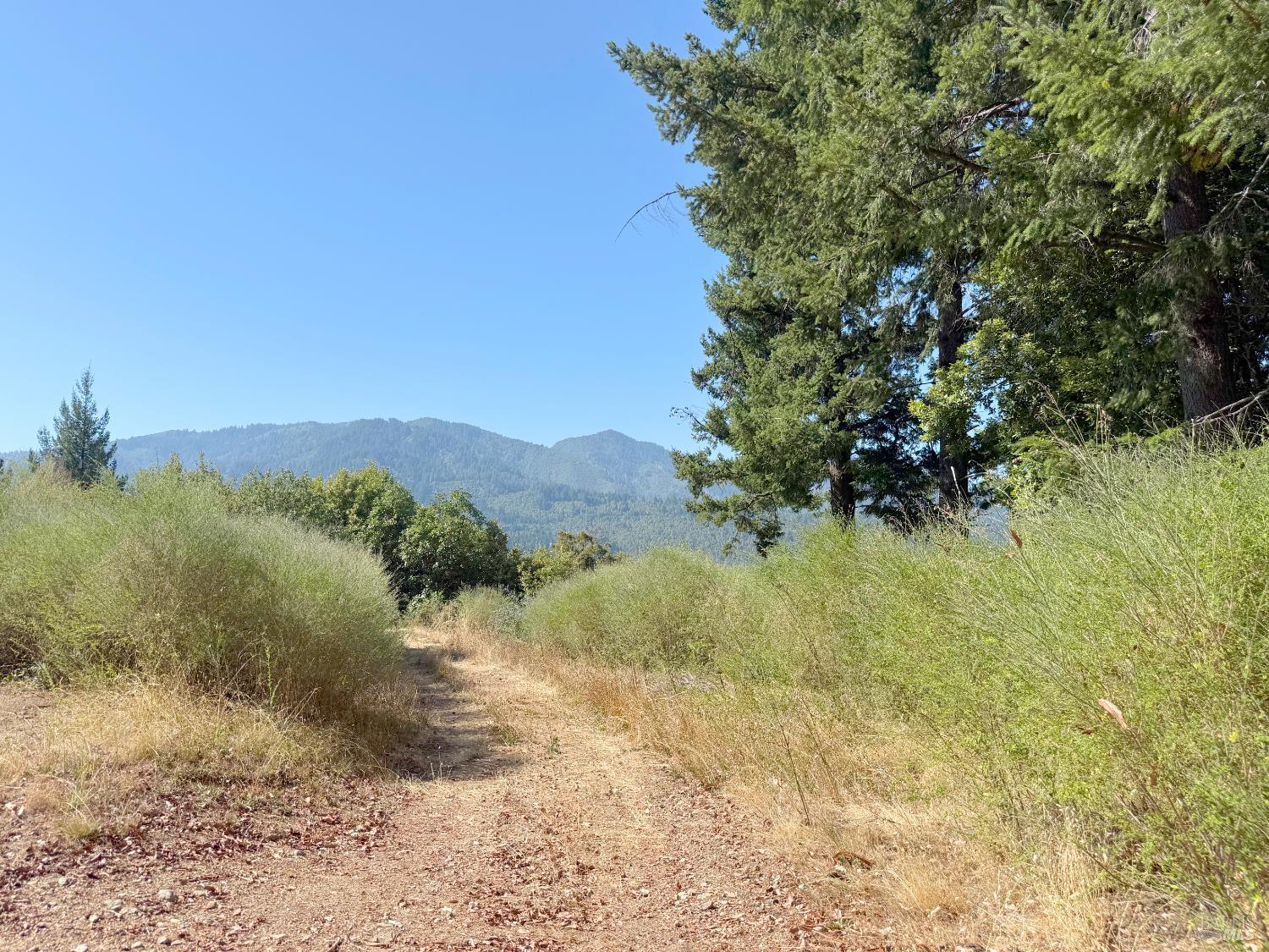 6060 Wilder Ridge Road Garberville, CA 95542 - Photo 24 of 26