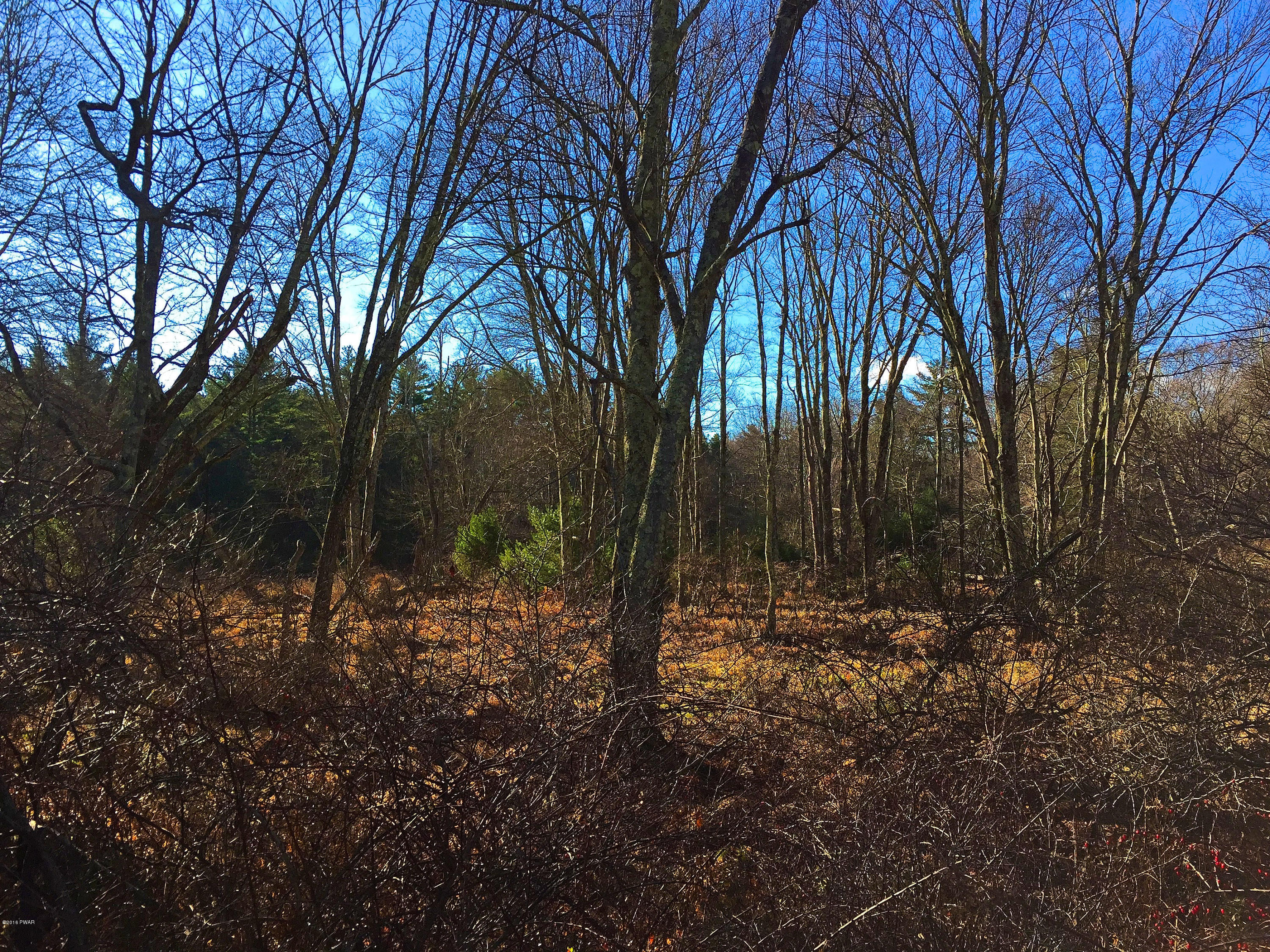 Lot 133 Silver Lake Road Dingmans Ferry, PA 18328 - Photo 4 of 15