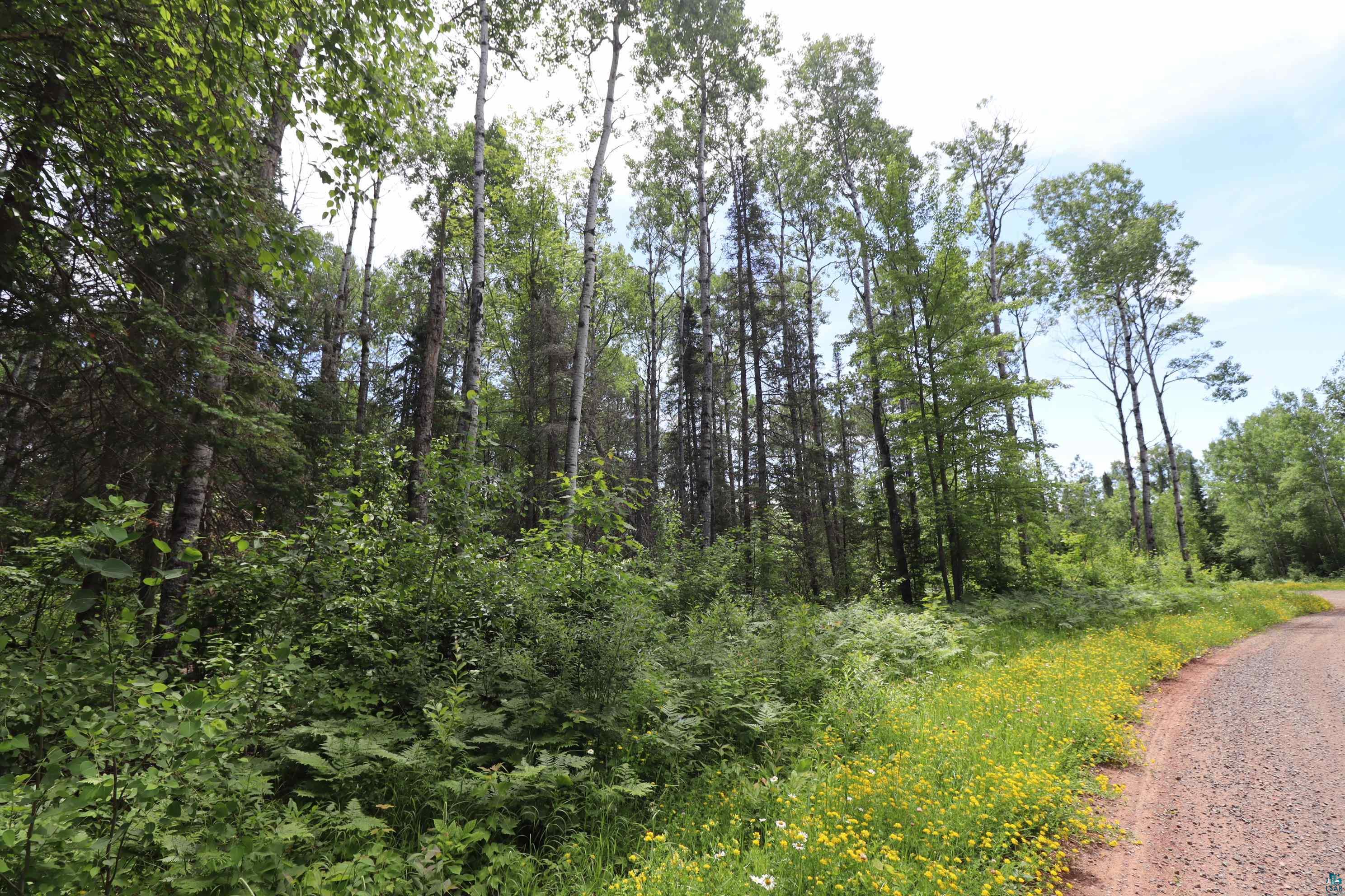 Lot 1 Campbell Road Herbster, WI 54844 - Photo 13 of 14