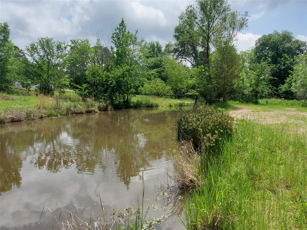 1156 County Road 1140 Emory, TX 75440 - Photo 6 of 40