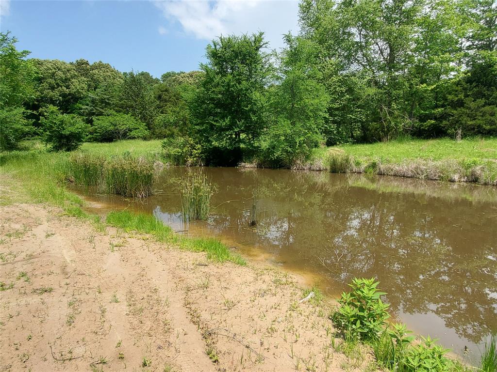 1156 County Road 1140 Emory, TX 75440 - Photo 7 of 40