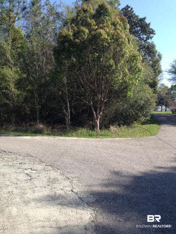 0 Ginkle Road South Irvington, AL 36544 - Photo 2 of 6