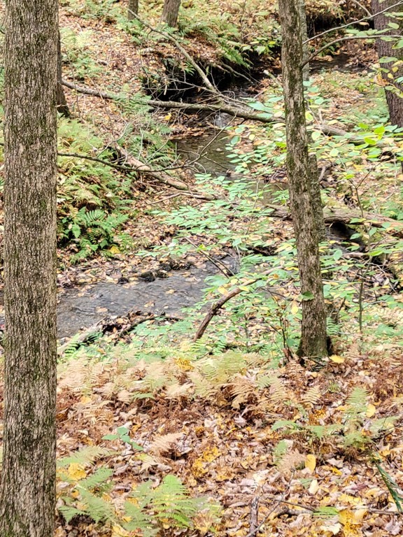 0 Schaefer Way Charlemont, MA 01339 - Photo 2 of 3