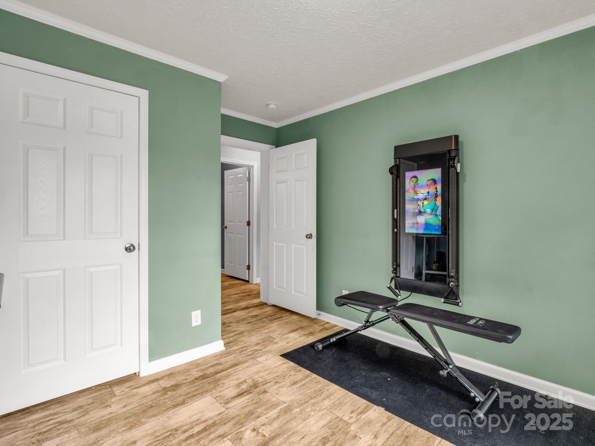 343 East Marshall Ridge Road Hendersonville, NC 28792 - Photo 19 of 44 a view of a room with gym equipment