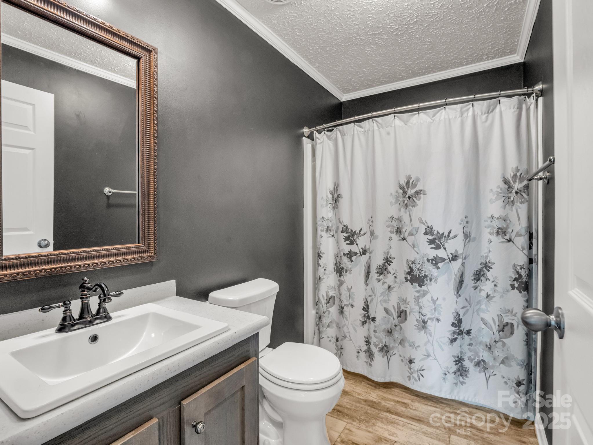 343 East Marshall Ridge Road Hendersonville, NC 28792 - Photo 24 of 44 a bathroom with a sink toilet and shower