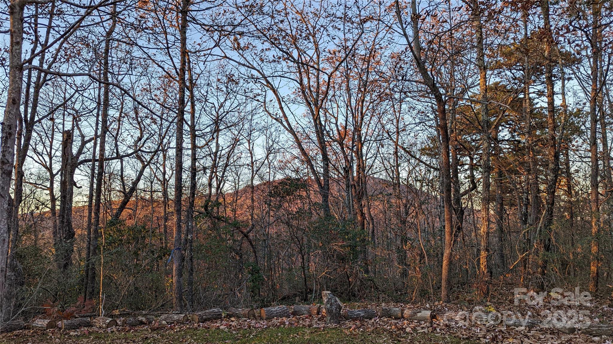 343 East Marshall Ridge Road Hendersonville, NC 28792 - Photo 30 of 44 a view of large yard