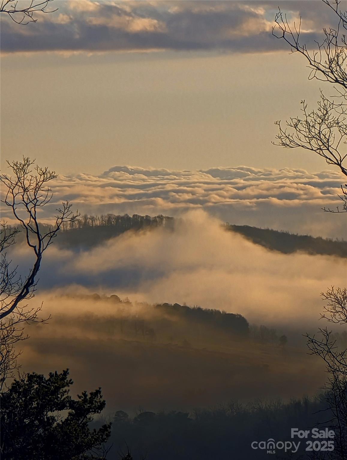 343 East Marshall Ridge Road Hendersonville, NC 28792 - Photo 31 of 44 a view of lake and mountain