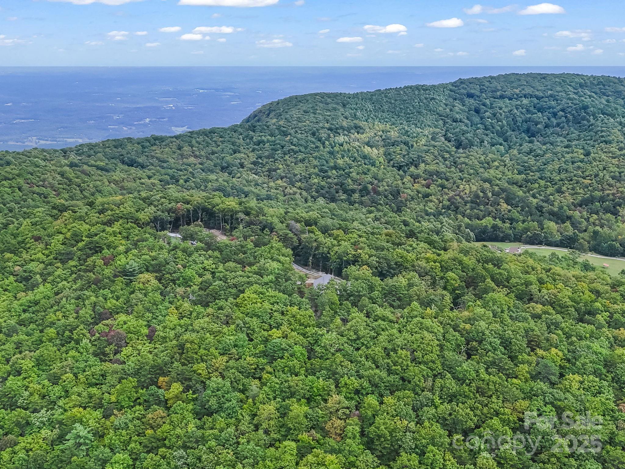 343 East Marshall Ridge Road Hendersonville, NC 28792 - Photo 34 of 44 a view of a green field with lots of bushes