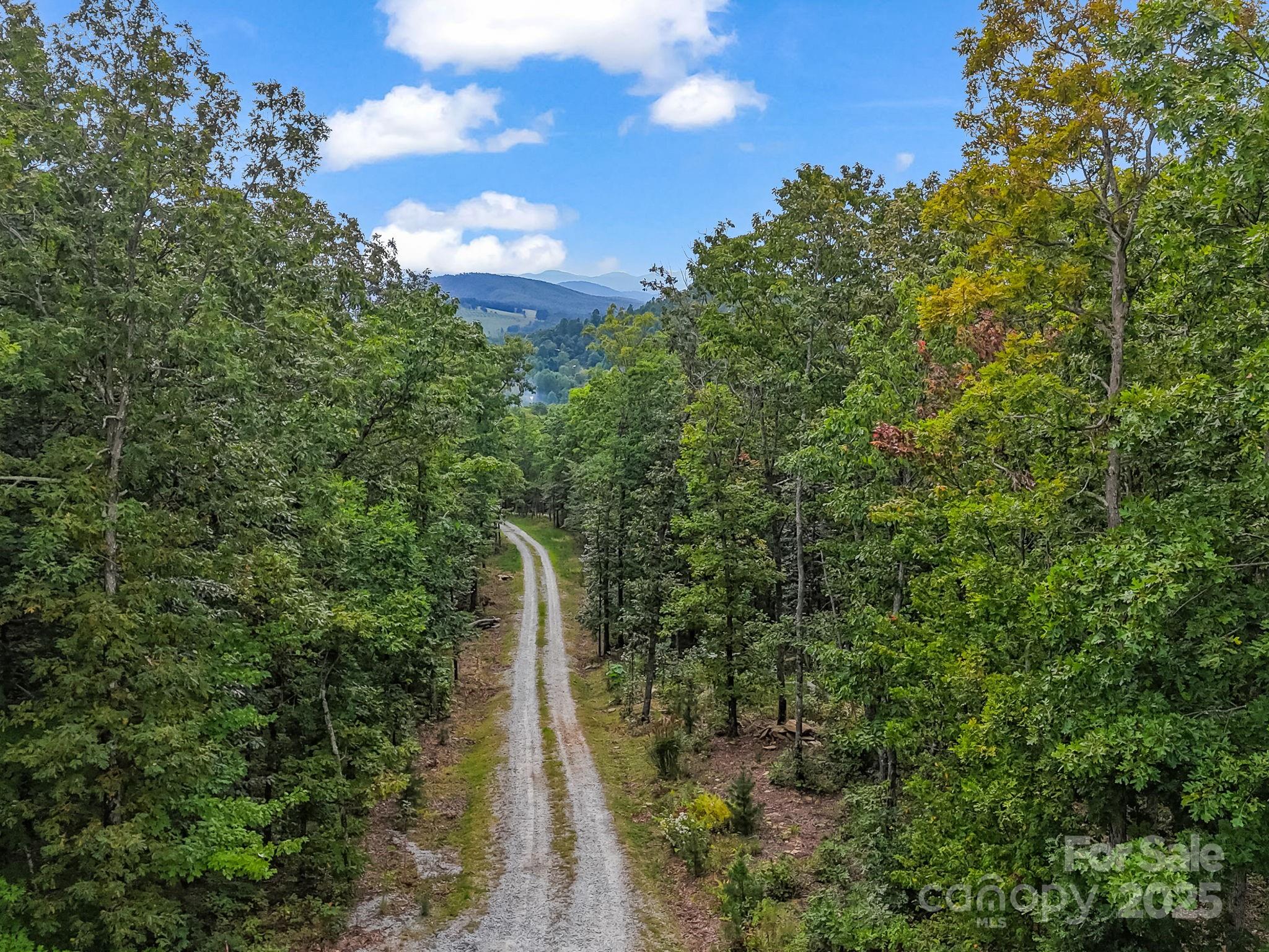 343 East Marshall Ridge Road Hendersonville, NC 28792 - Photo 35 of 44 a view of a forest