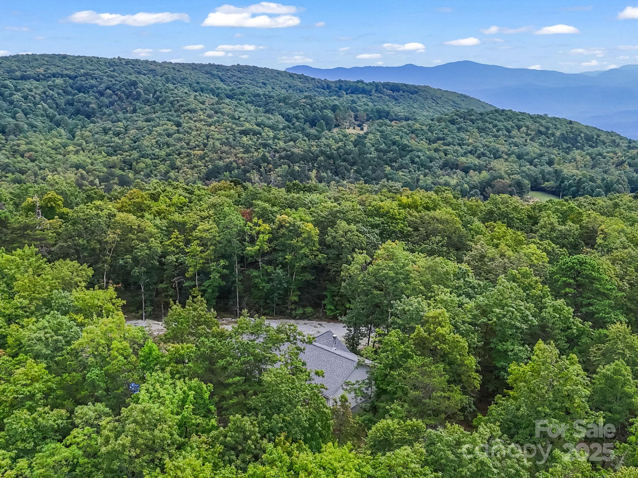 343 East Marshall Ridge Road Hendersonville, NC 28792 - Photo 36 of 44 a view of a lush green forest with a building in the back