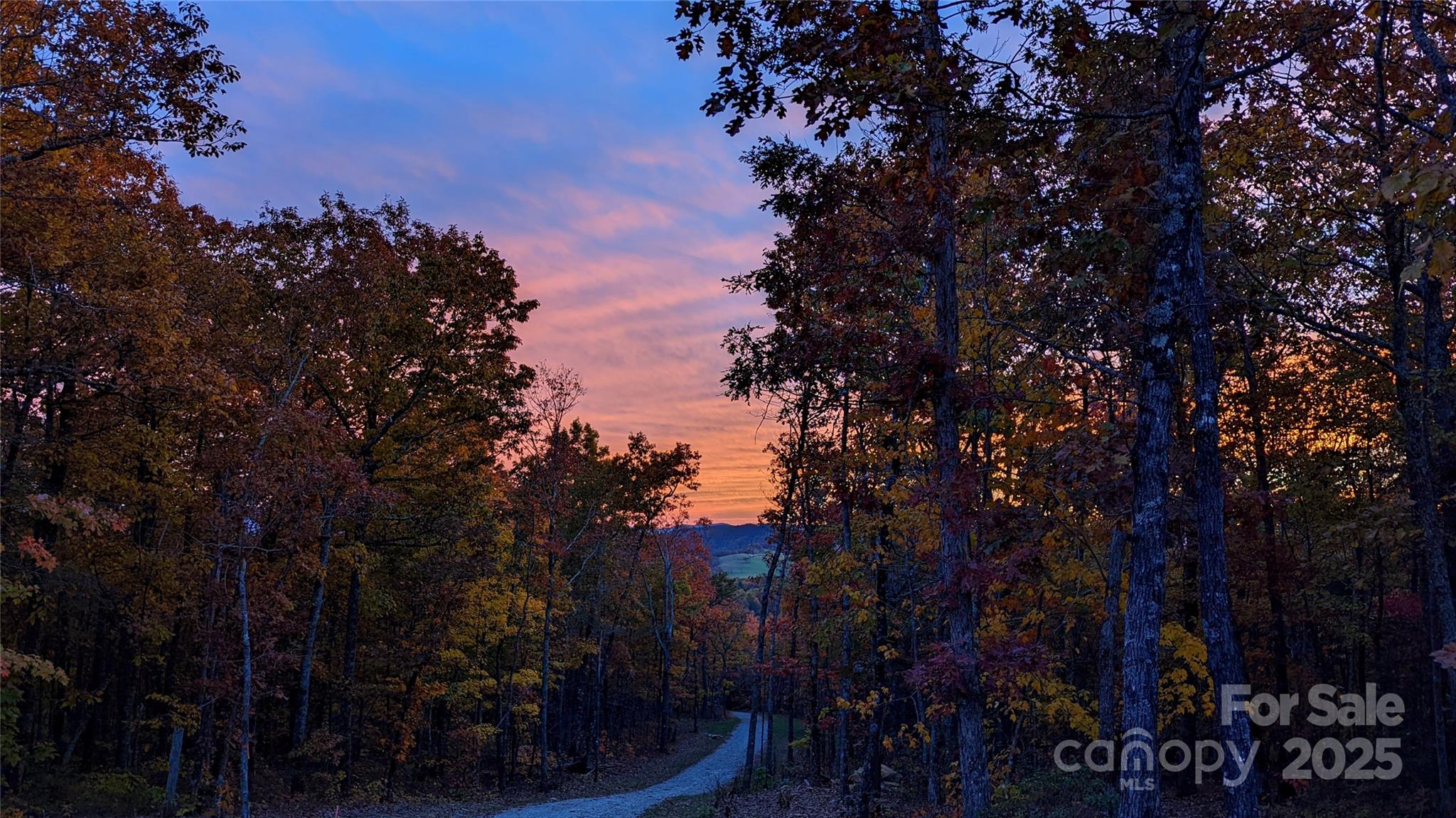 343 East Marshall Ridge Road Hendersonville, NC 28792 - Photo 38 of 44 a view of a city