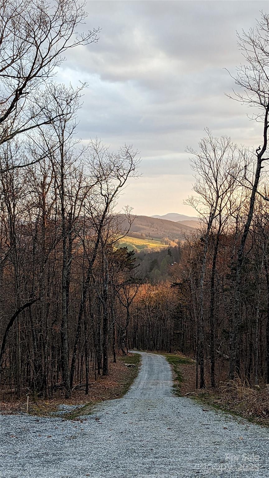 343 East Marshall Ridge Road Hendersonville, NC 28792 - Photo 40 of 44 a view of a backyard of the house