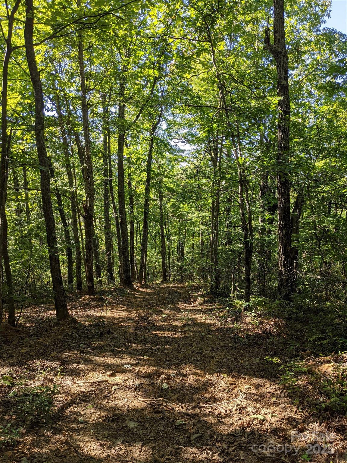 343 East Marshall Ridge Road Hendersonville, NC 28792 - Photo 43 of 44 a view of outdoor space with trees