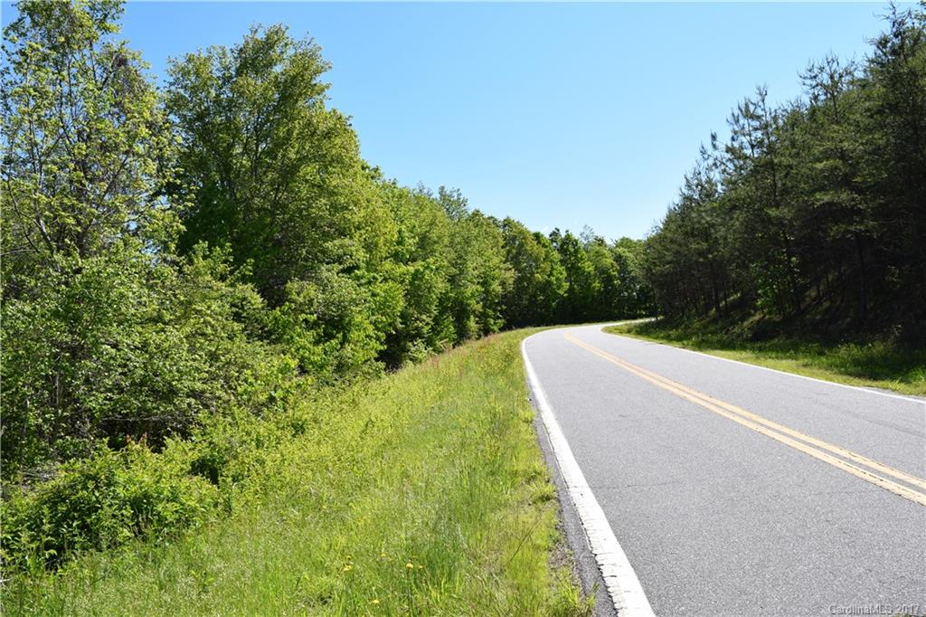 0 Walker Mill Road Bostic, NC 28018 - Photo 2 of 14 Gallery Image 2